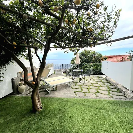 Il Gabbiano Hotel 4*